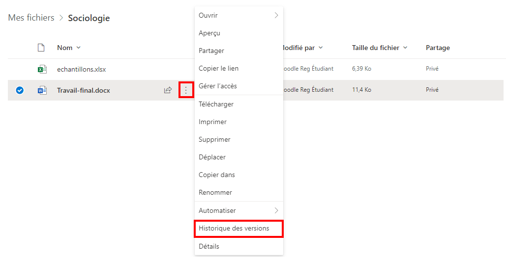 Accéder à l'historique de version d'un fichier.